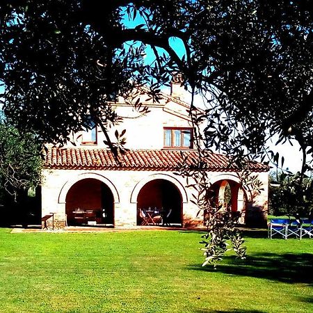 B&B La Casa Tra Gli Ulivi Civitanova Marche Extérieur photo