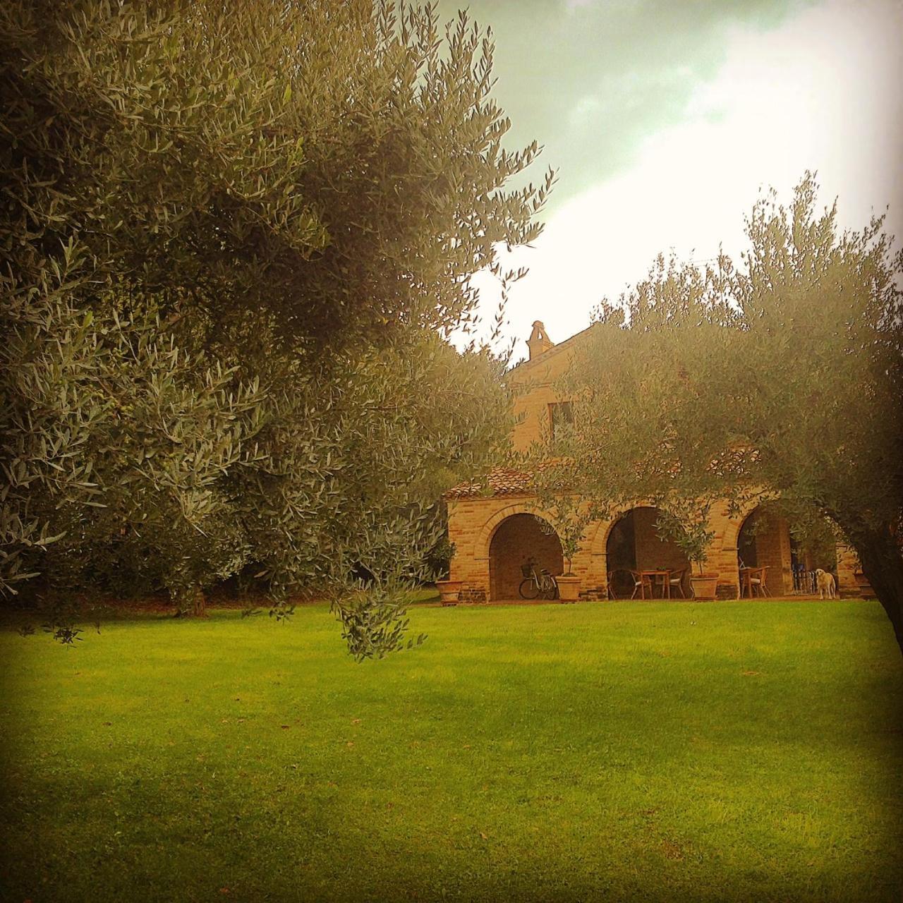 B&B La Casa Tra Gli Ulivi Civitanova Marche Extérieur photo